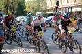 DSC_0016.JPG